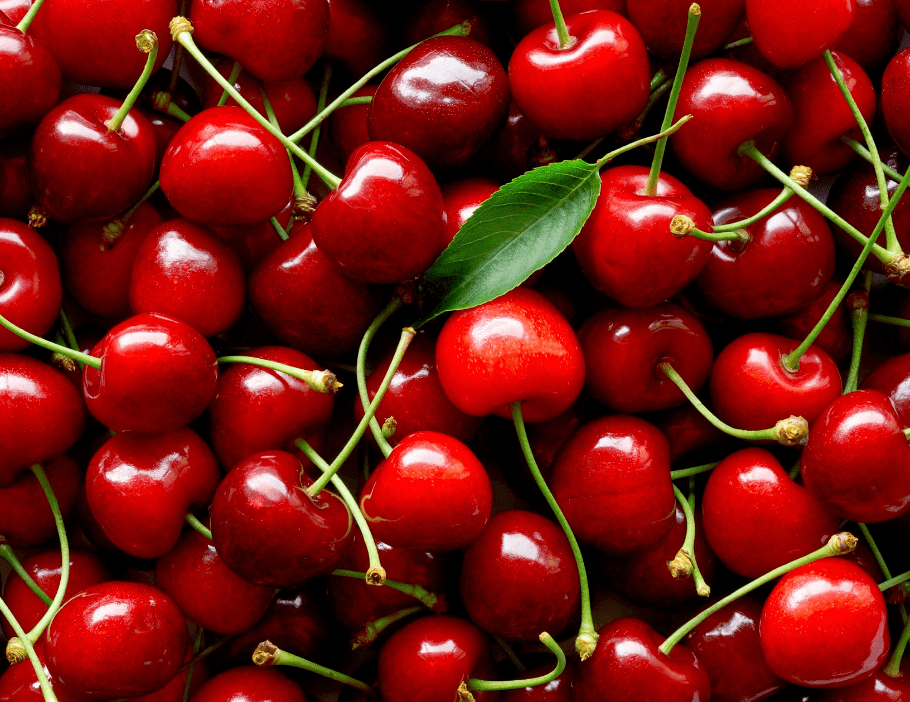 One Hundred Cherries