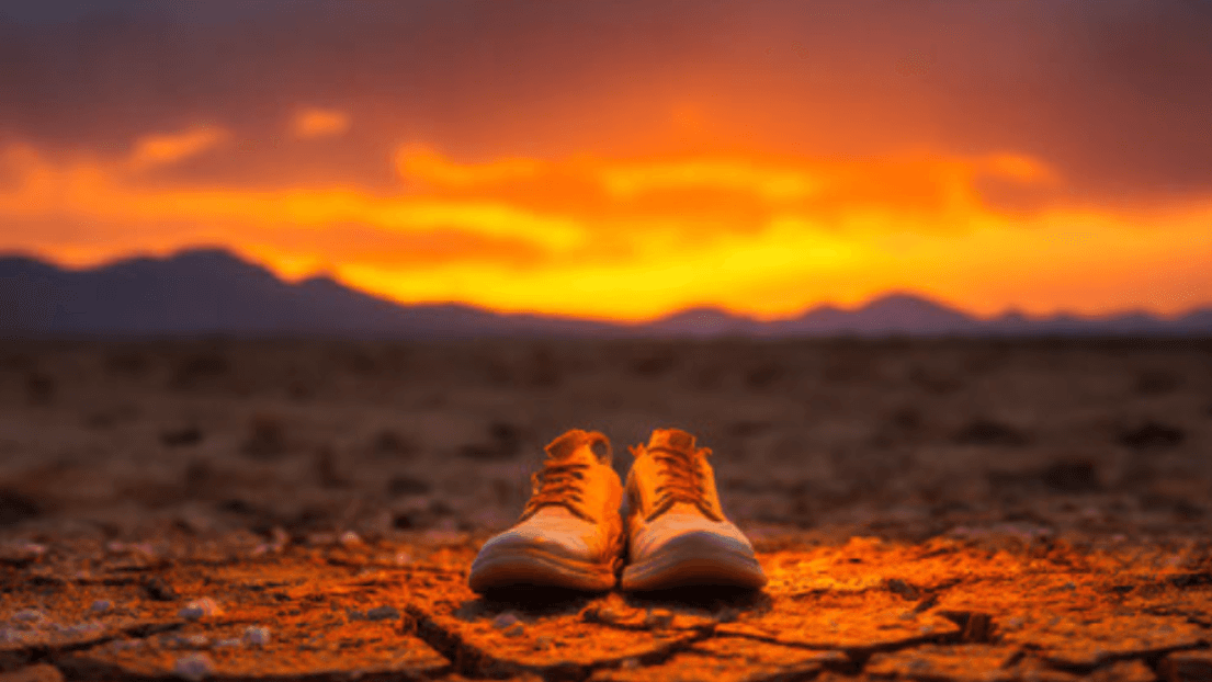 Lost shoes