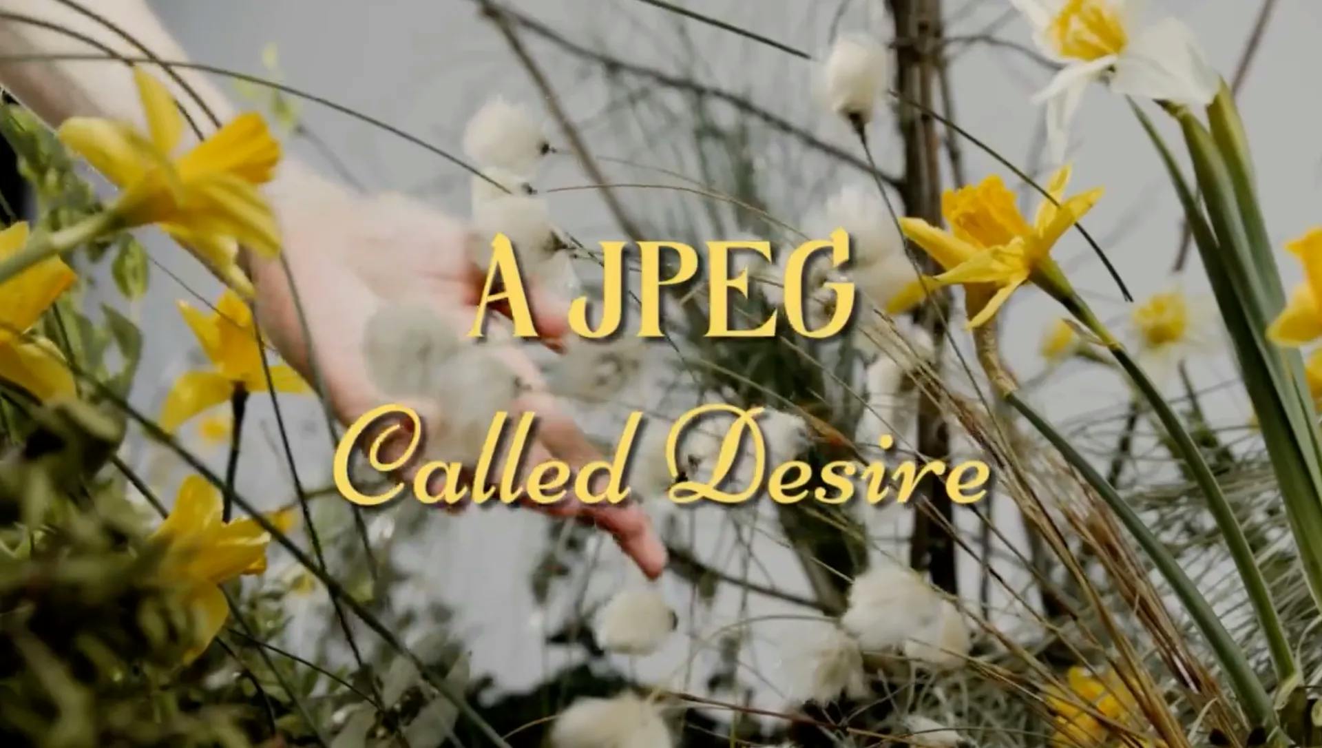 A JPEG Called Desire