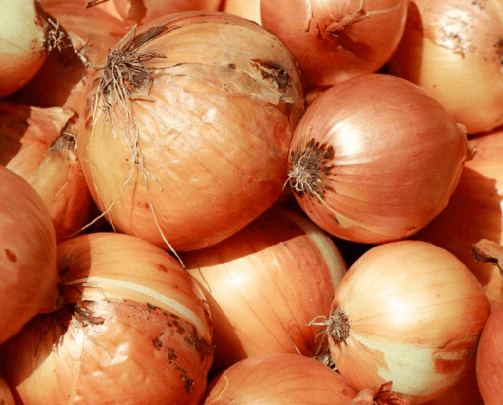 Onions_base_royalty_test